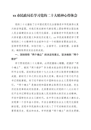 XX民政局长学习党的二十大精神心得体会