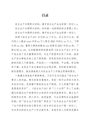 安全生产专题研讨材料合集（2篇）