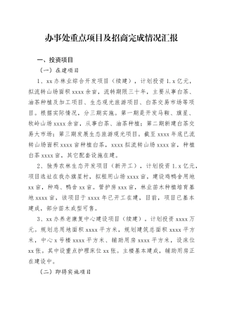 办事处重点项目及招商完成情况汇报