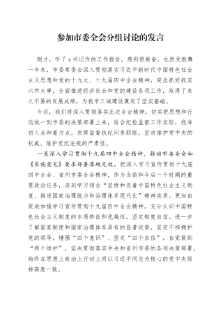 参加市委全会分组讨论的发言