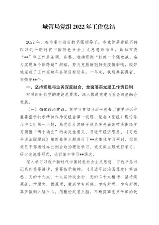 城管局党组2022年工作总结