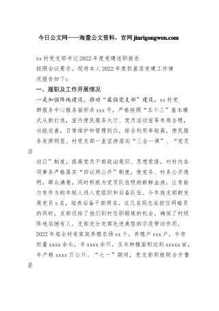 村党支部书记2022年度党建述职报告（20230105）