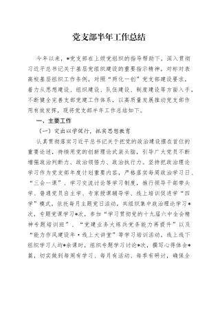 党支部半年工作总结