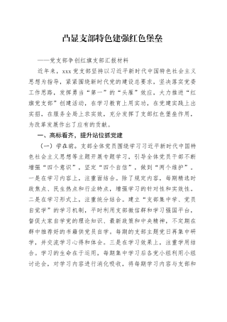 党支部争创红旗支部汇报材料