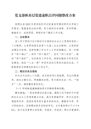 党支部抓基层党建述职点评问题整改方案