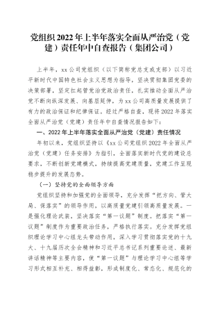 党组织2022年上半年落实全面从严治党（党建）责任年中自查报告（集团公司）