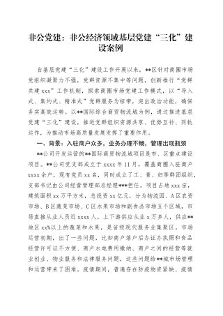 非公党建：非公经济领域基层党建“三化”建设案例