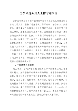 分公司选人用人工作专题报告