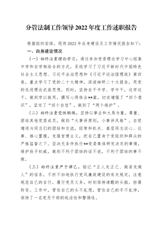 分管法制工作领导2022年度工作述职报告