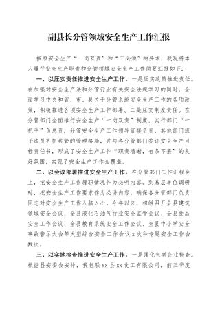 副县长分管领域安全生产工作汇报
