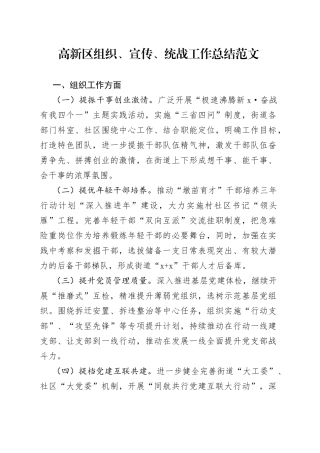 高新区组织、宣传、统战工作总结范文（党的建设，党建工作会议发言，工作汇报报告）