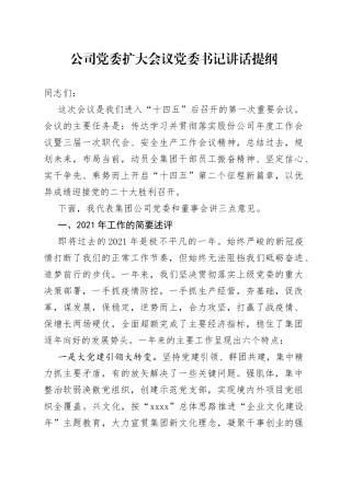 公司党委扩大会议党委书记讲话(1)