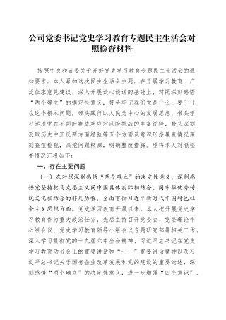 公司党委书记党史学习教育专题民主生活会对照检查材料