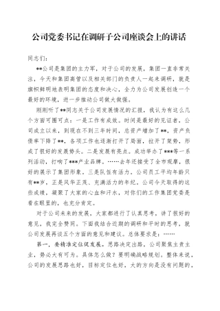 公司党委书记在调研子公司座谈会上的讲话