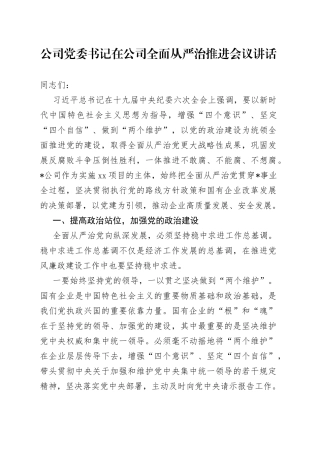 公司党委书记在公司全面从严治推进会议讲话