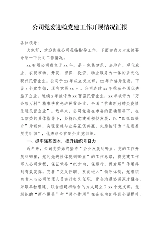公司党委迎检党建工作开展情况汇报（1）