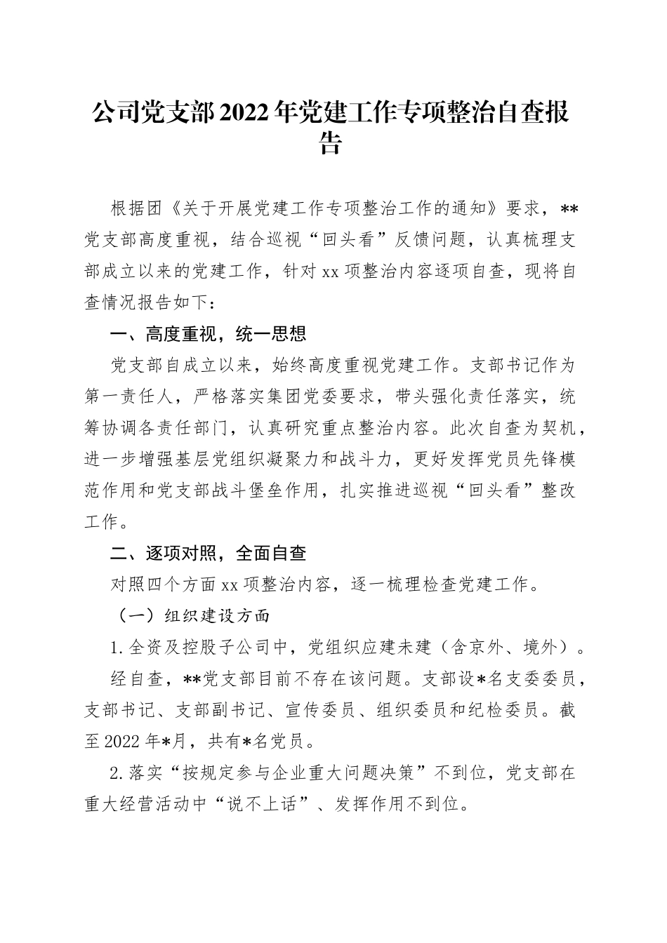 公司党支部2022年党建工作专项整治自查报告_第1页