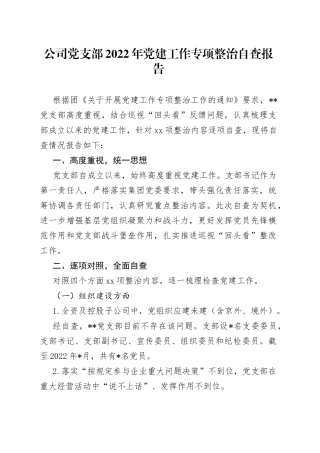 公司党支部2022年党建工作专项整治自查报告