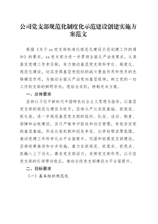 公司党支部规范化制度化示范建设创建实施方案