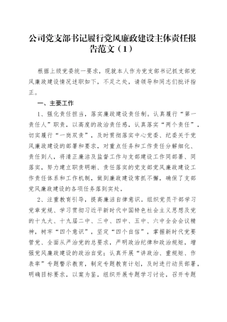 公司党支部书记履行党风廉政建设全面从严治党主体责任述职报告
