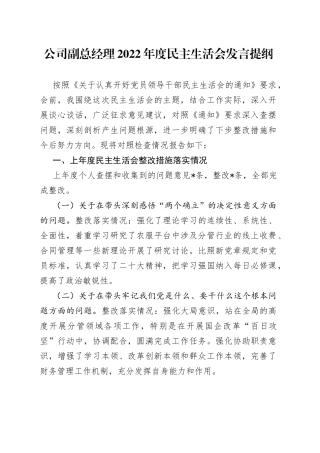 公司副总经理2022年度民主生活会发言提纲