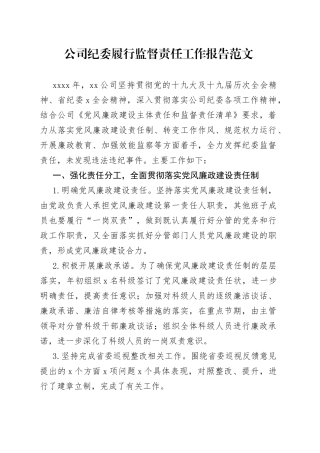 公司纪委履行监督责任工作报告