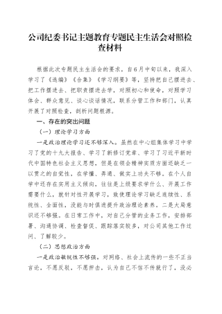 公司纪委书记主题教育专题民主生活会对照检查材料
