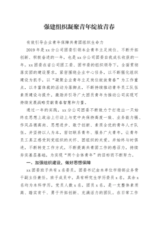 公司团委年终总结报告