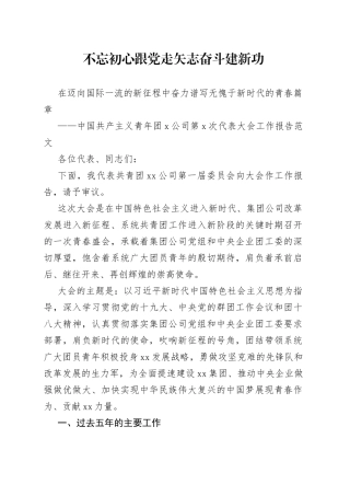 公司团委在团员代表大会上的工作报告