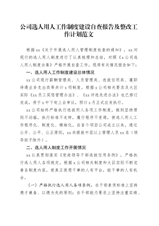 公司选人用人工作制度建设自查报告及整改工作计划范文（集团企业，工作汇报总结，存在问题，整改措施）