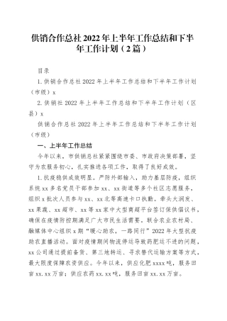 供销合作总社2022年上半年工作总结和下半年工作计划（2篇）