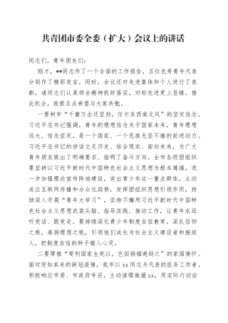 共青团市委全委（扩大）会议上的讲话