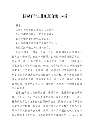 挂职干部工作汇报合集（4篇）