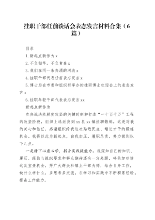 挂职干部任前谈话会表态发言材料合集（6篇）(1)