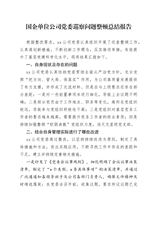 国企单位公司党委巡察问题整顿总结报告(1)