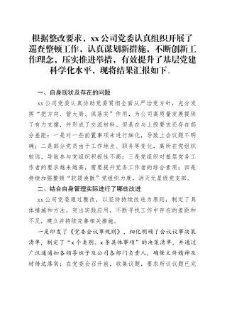 国企单位公司党委巡察问题整顿总结报告