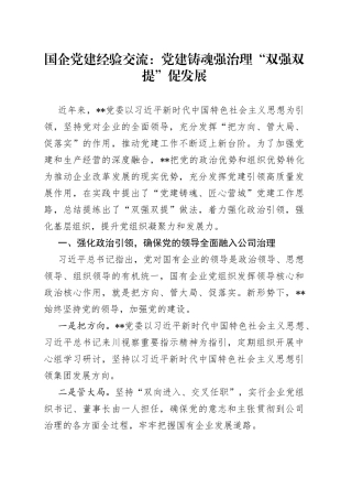 国企党建经验交流：党建铸魂强治理“双强双提”促发展