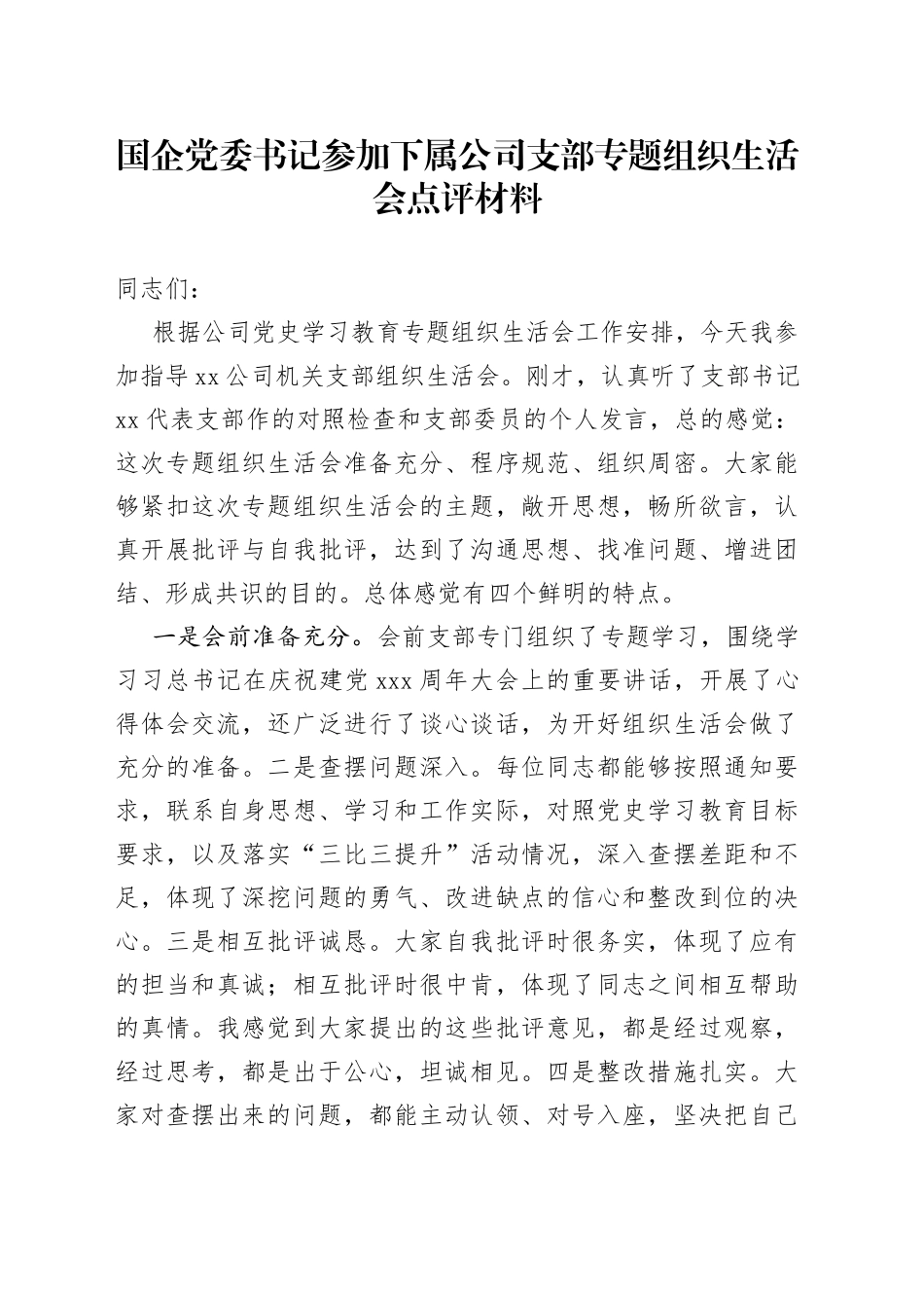 国企党委书记参加下属公司支部专题组织生活会点评材料_第1页