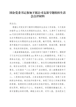 国企党委书记参加下属公司支部专题组织生活会点评材料