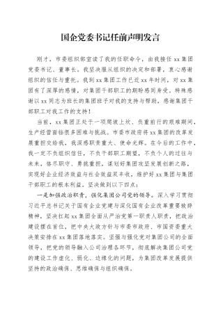 国企党委书记任前声明发言