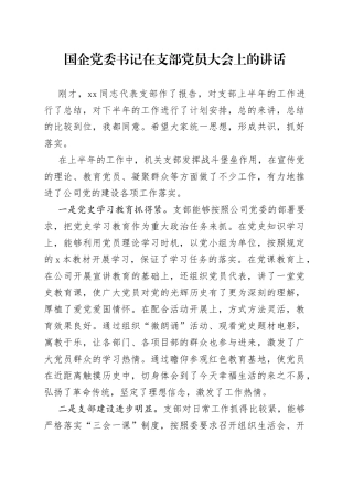国企党委书记在支部党员大会上的讲话