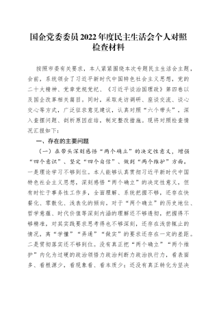 国企党委委员2022年度民主生活会个人对照检查材料
