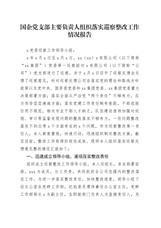 国企党支部主要负责人组织落实巡察整改工作情况报告