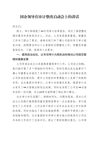 国企领导在审计整改启动会上的讲话（1）