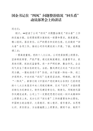 国企书记在“四风”问题整治情况“回头看”动员部署会上的讲话（1）