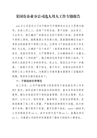 国有企业分公司选人用人工作专题报告