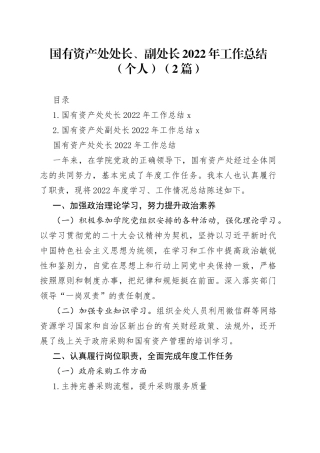 国有资产处处长、副处长2022年工作总结合集（2篇）（1）