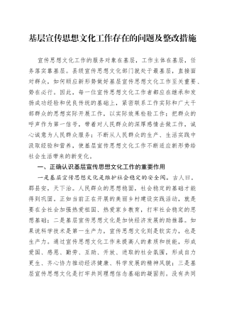 基层宣传思想文化工作存在的问题及整改措施