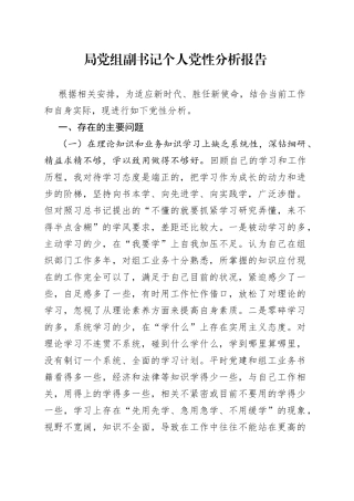 局党组副书记个人党性分析报告