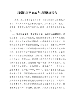 局副职领导2022年述职述廉报告